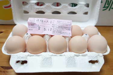 【匝瑳市】ふるさと納税返礼品、80個の卵は圧巻…！味もサイズも申し分なくかなりお得。
