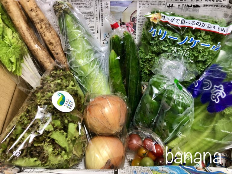 北上市 ふるさと納税返礼品が届きました 新鮮な野菜が10種類も詰まってとってもお得 しゅふなび